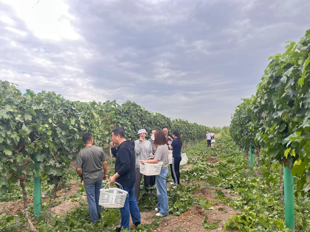 20240824耕读教育实践基地参观3