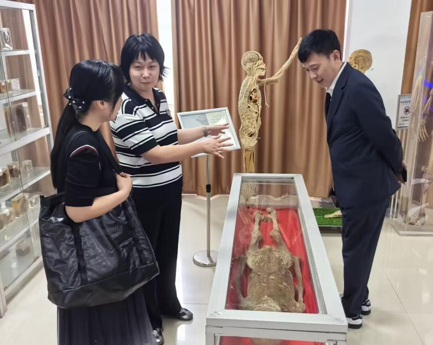 图片13