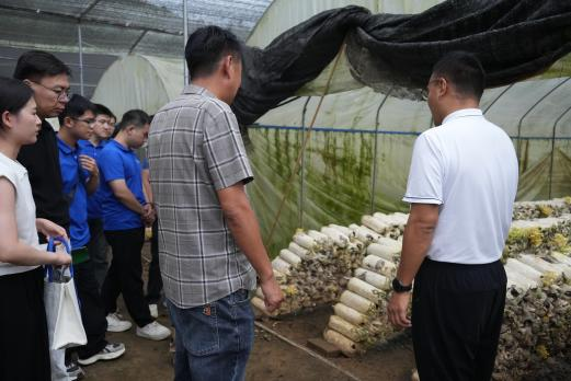 1-实践团队实地调研菌子培育大棚