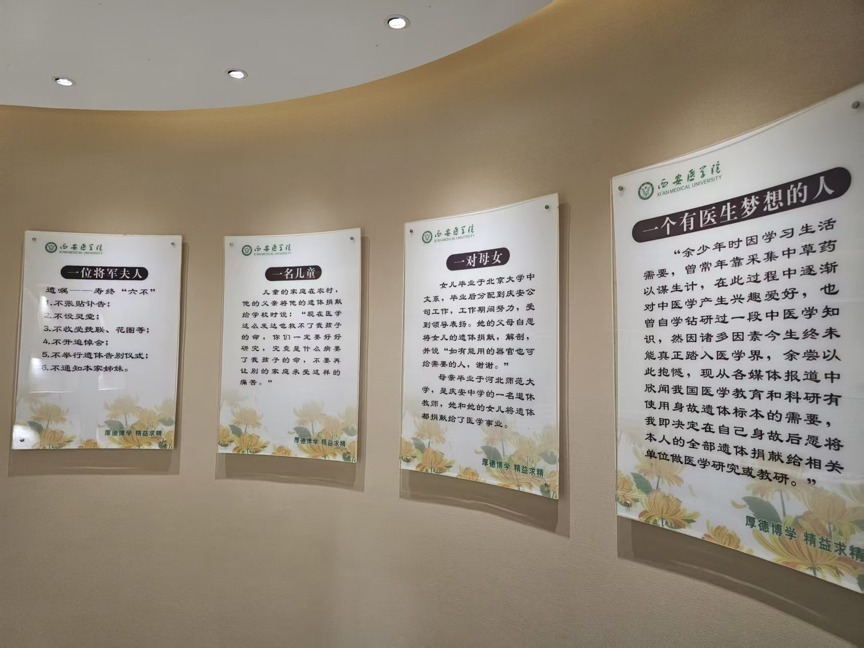 四展板png 四展板png