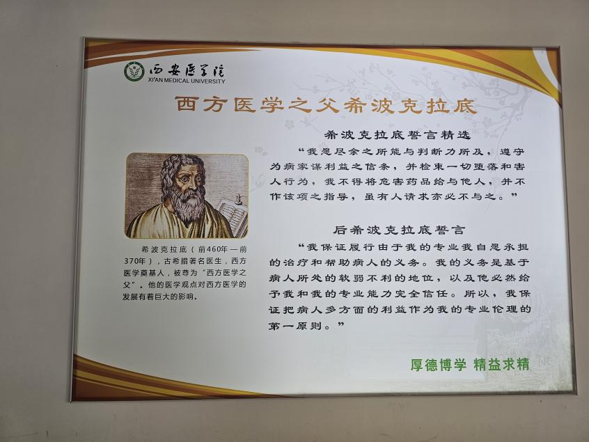 西比克拉底png 西比克拉底png