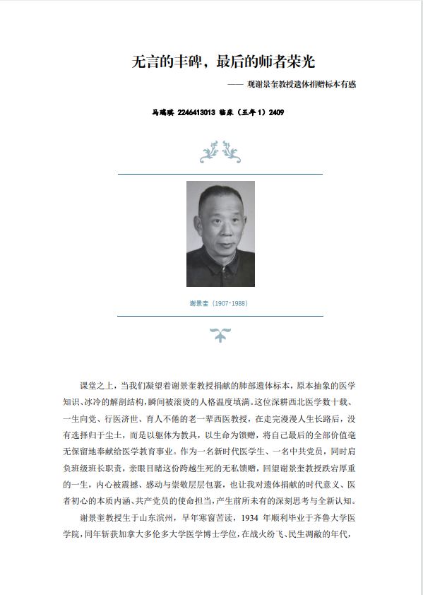 图片8