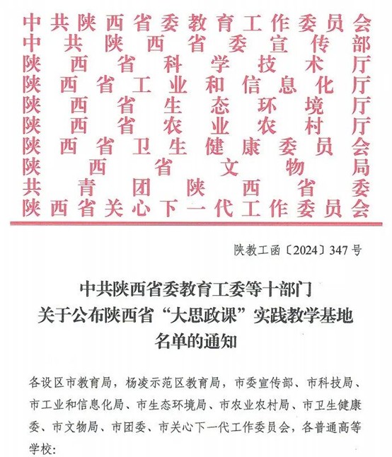 徐家坪3
