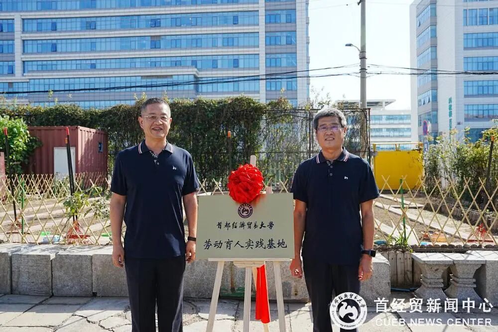 劳动实践1 劳动实践1