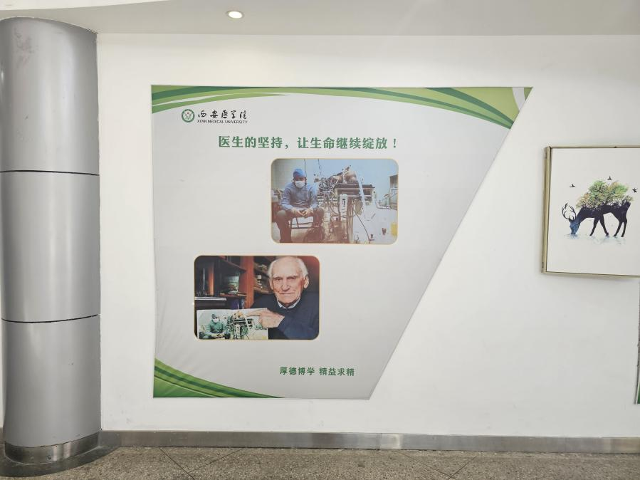 心脏移植 心脏移植