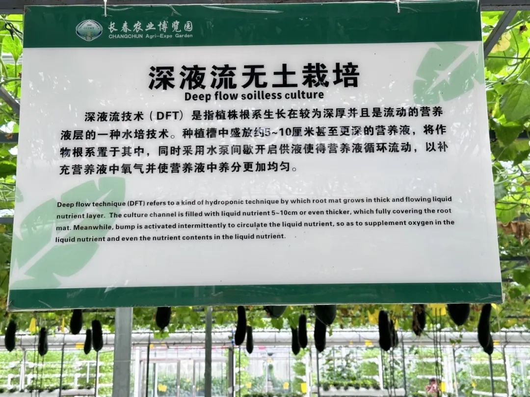 【创新吉林】图片31