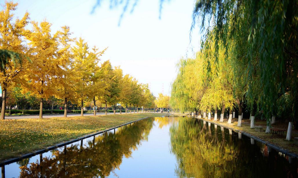 2024年5月邀请校友、全国五一劳动奖章获得者谢翠红与青年面对面