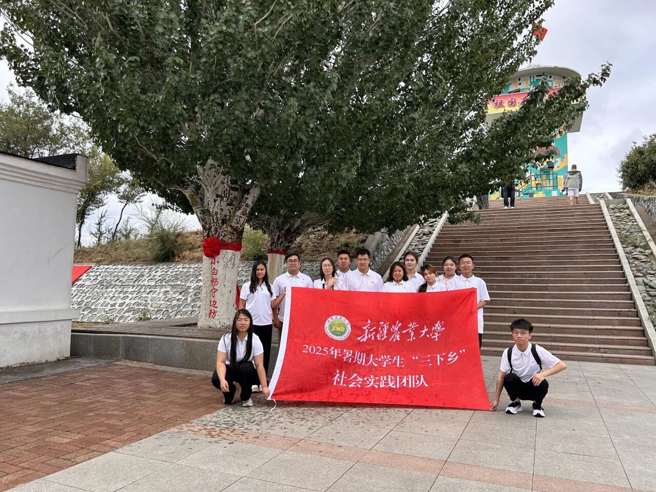 20250711暑期社会实践4