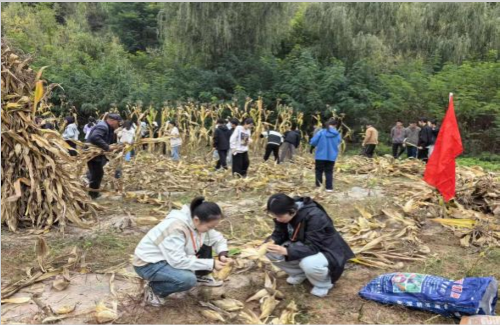 ScreenShot_2026-03-29_221736_923 ScreenShot_2026-03-29_221736_923