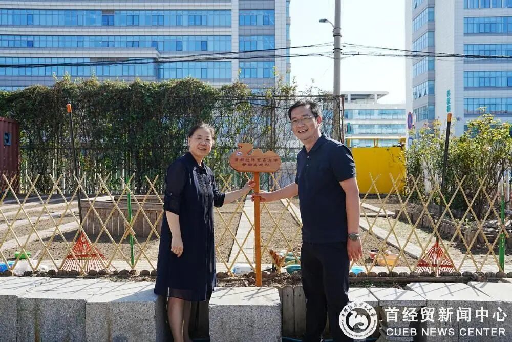 劳动实践2 劳动实践2