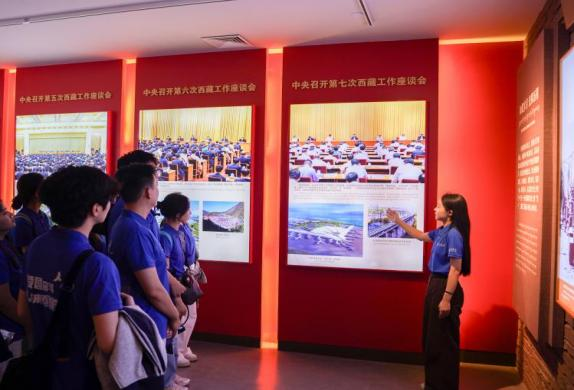 5-赴藏队成员学习习近平总书记关于西藏工作的重要论述 5-赴藏队成员学习习近平总书记关于西藏工作的重要论述