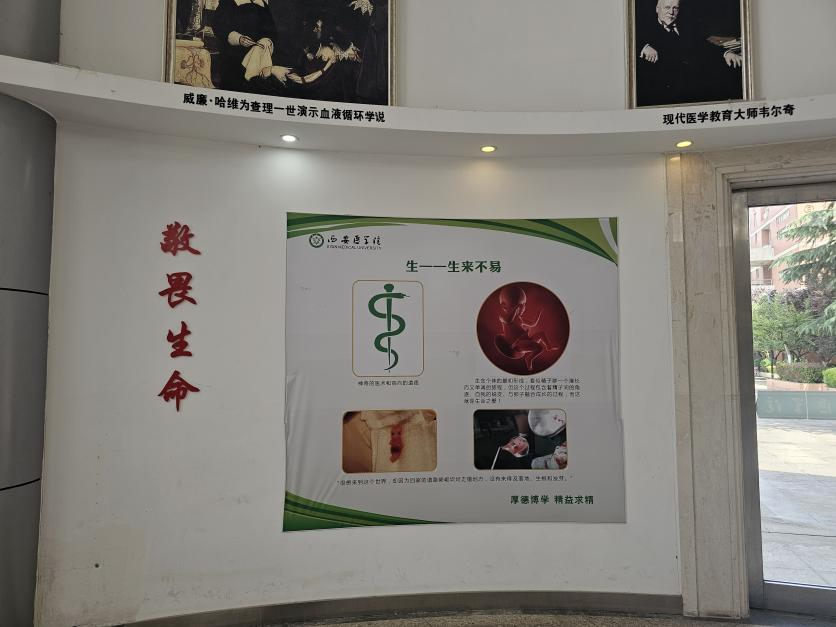 手杖 手杖