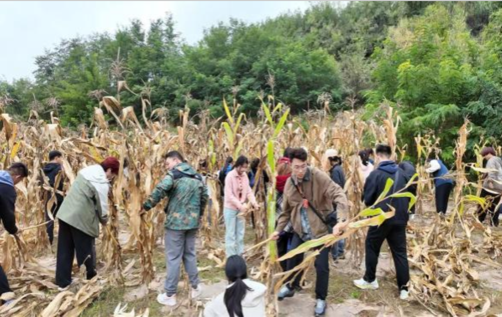 ScreenShot_2026-03-29_221721_993 ScreenShot_2026-03-29_221721_993