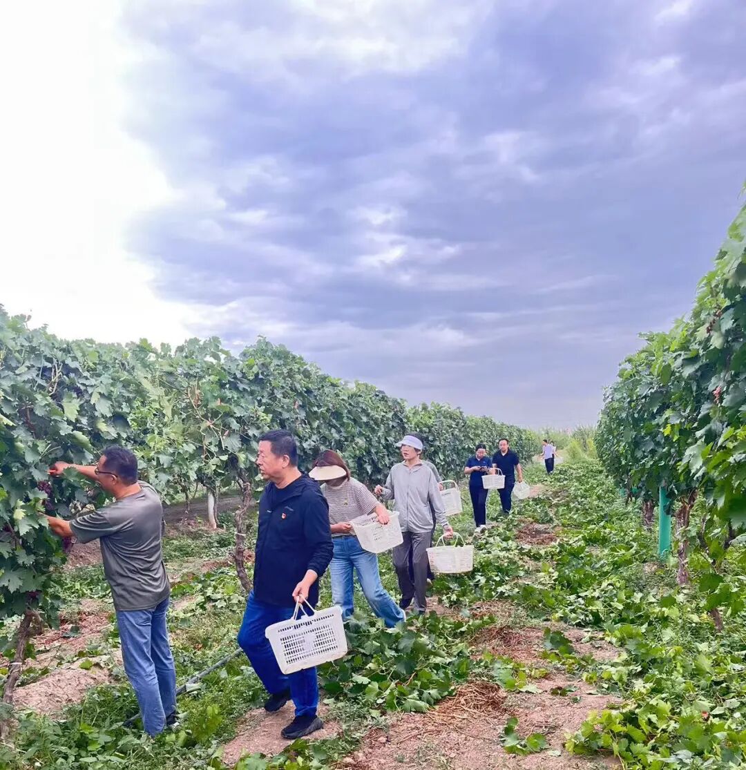 20240824耕读教育实践基地参观2